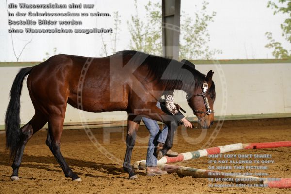 s_K3F06758.jpg